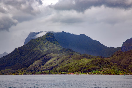 Rainforests on the mountains in the rain misty clouds on the island Moorea in the Leeward group of the Society Islands of French Polynesia.の写真素材