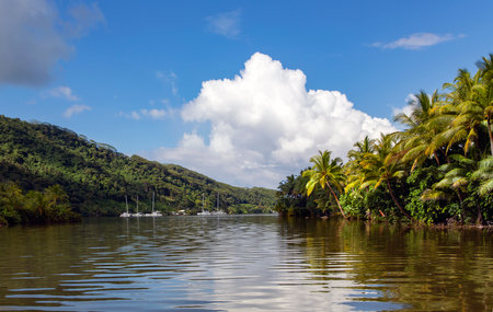 Five catamarans overnight in a calm lagoon at the Pacific ocean on an expedition to the islands of French Polynesia. Bora Bora, French Polynesiaの写真素材