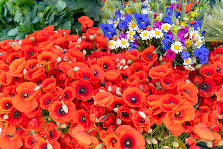 Large bouquet of summer wildflowers with poppies, daisies and cornflowers garnished with wheat ears closeup. Spring flower background.の写真素材