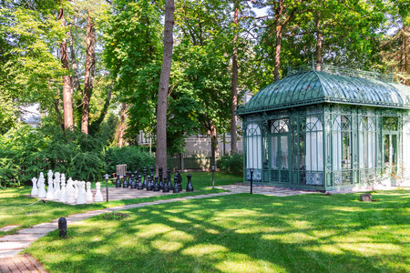 Giant chess on board located on ground green grass in park- intellectual gameの写真素材