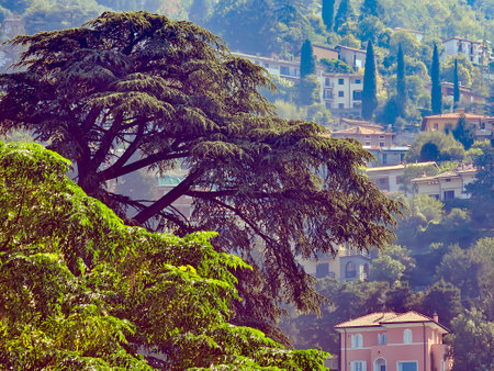 Beautiful view of the city of Taormina, Sicily, Italyの写真素材