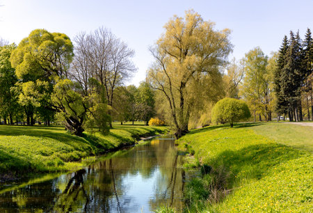 Sunny spring landscape with small pond with a weeping willow on the shore in Victory Park, Riga, Latvia. Sakura garden in spring season.の写真素材