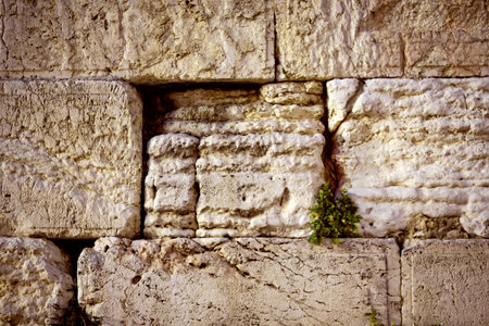 Detail of the wall of the ancient city of Jerusalem, Israelの写真素材