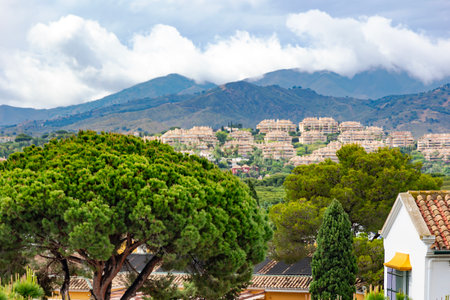 Rain clouds on the Pyrenees mountains and a beautiful landscape with blooming pine trees in Marbella. Spainの写真素材