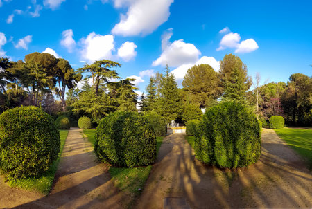 Beautiful gardens of Palau de Pedralbes with a small fountain in the center of park and various conifers in Barcelona, Spain.の写真素材