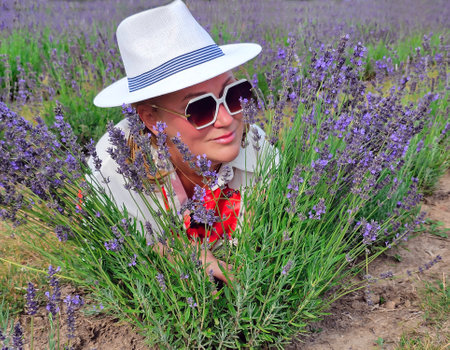 Pretty woman in white hat lies in lavender field among blooming lavender bushes. The concept of traveling to ecologically clean areas.の写真素材