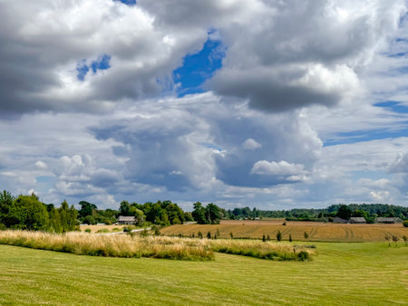 Juicy meadows with summer green grass and a little undergrowth against the sky with fluffy clouds at the Latvian countryside.の写真素材