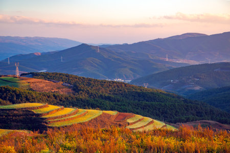 Rice terraces in the rays of the setting sun during golden hour in the mountains of Yunnan province,...
