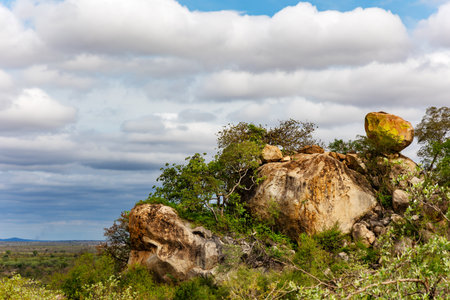 Beautiful savanna landscape with rocky cliffs in Mpumalanga Province, South Africaの写真素材