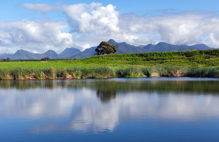 Breath-taking views of open green pastures and the distant Tsitsikamma Mountain with reflection in the Storms River, Blue Lilies Bush, South Africa.の写真素材