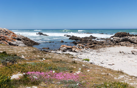 The rocky shore of Cape Agulhas, where the Indian and Atlantic Oceans meet, is a cape in South Africa, the southernmost point of Africa.の写真素材