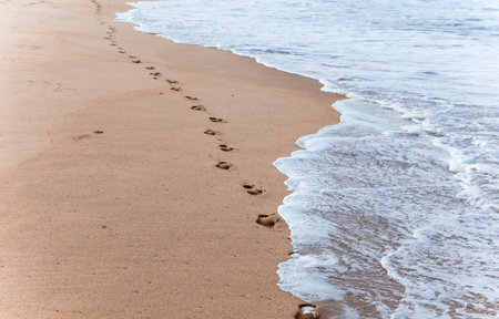 Footprints of a lone people in the wet sand during a morning walk along the Indian Ocean coast in...