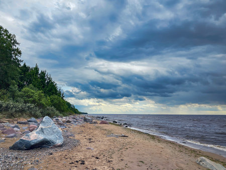 The unusual landscape of Saulkrasti wild beach on Baltic sea shore is formed by large boulders that cover the coast and stately pines growing in the dunes. Latviaの写真素材