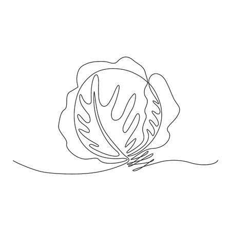 monochrome sketch of a cabbage head drawn with one line.のイラスト素材