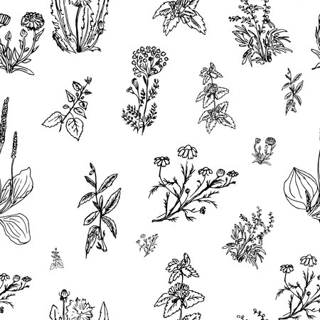 vector simplified monochrome herbal pattern isolated on white. Floral and natural themes, design element, textile and printed goods.のイラスト素材
