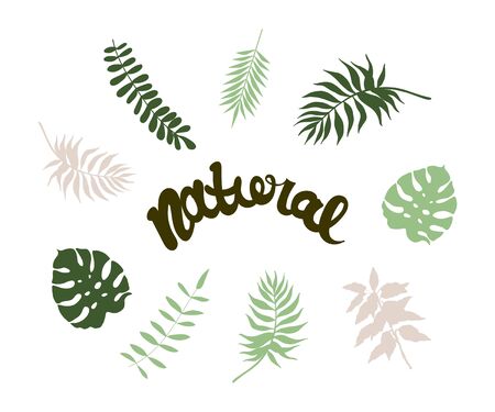 vector sketchy illustration of some palm leaves augmented with Natural sign.のイラスト素材