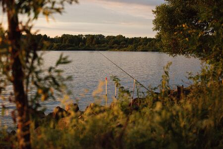 Summer evening on the shore of Lake Seliger, Russia.の写真素材