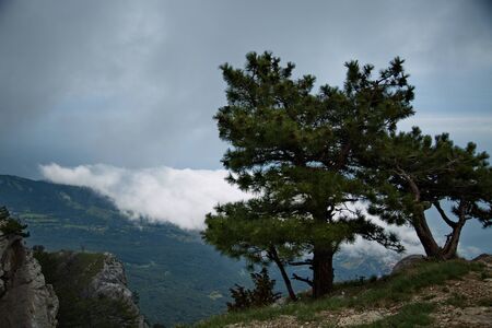 View from Mount Ai-Petri, Yalta, Crimea.の写真素材