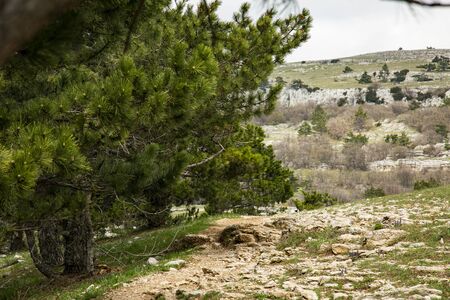 Hiking trail on the slope of Ai-Petri mountain, Crimea.の写真素材