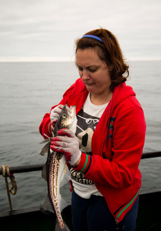 The hard work of the Sea of Okhotsk fishery, Russia.