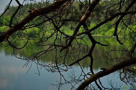 Forest lake Deaf pit on a summer sunny day.の写真素材
