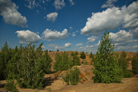 Vegetation of the Romantsevsky mountains, Tula region, Russia.