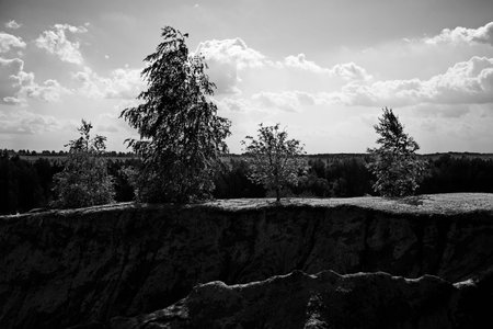 Vegetation of the Romantsevsky mountains, Tula region, Russiaの写真素材
