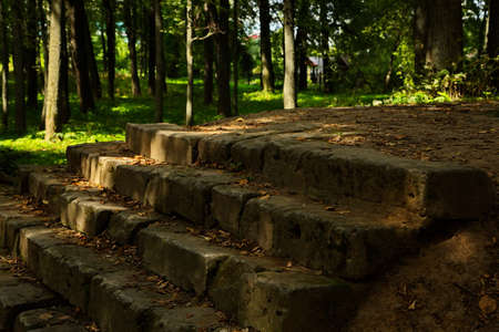 In the park of the Dubrovitsy estate, Podolsk district of the Moscow region, Russia.の写真素材