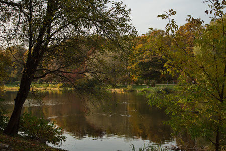 Sunny autumn day in the city park.