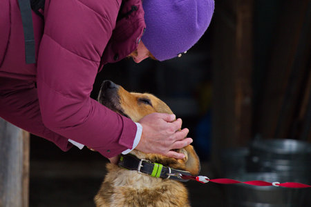 Volunteer with a dog under his care on his first walk at an animal shelter.