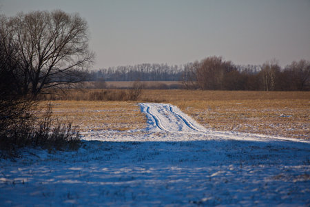 Country road in the field after the first snow, Russia.の写真素材