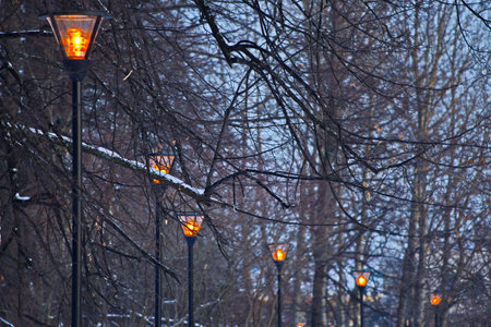 Noon in the park of the polar city.の写真素材