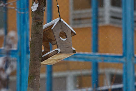Bird feeder in the winter park.の写真素材