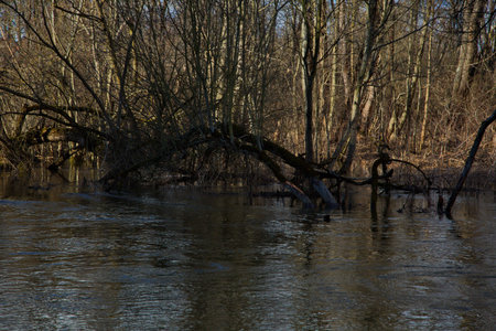 The beginning of the spring flood on the Desna River.