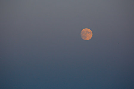 The moon in the rays of the setting sun on a summer evening.の写真素材