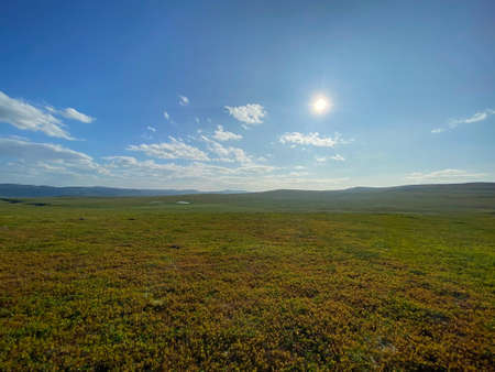 Kola tundra on a polar day, Murmansk region of Russia.の写真素材