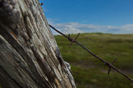 Remains of an artillery battery fencing in the tundra, Murmansk region of Russia.の写真素材