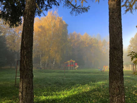 Foggy morning in the city autumn park.の写真素材