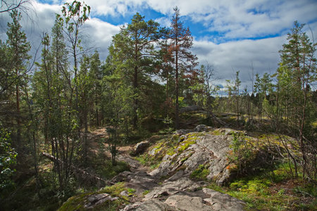 On top of Mount Hidenvuori.の写真素材