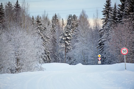 Winter road in the Russian North.