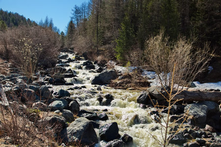 Small mountain stream in Altai.