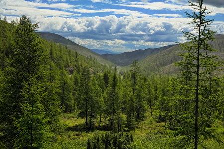 Landscape of the Far Eastern midlands.