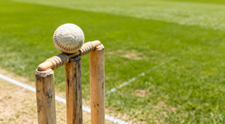 This image captures three wooden cricket stumps with bails on a well-manicured pitch, bathed in soft natural daylight. The scene is enveloped in soothing green tones, enhancing the sports photography style. Ideal for use in sports articles, cricket coaching materials, or as a thematic element in sports-related designs. AI-generated illustration.の素材