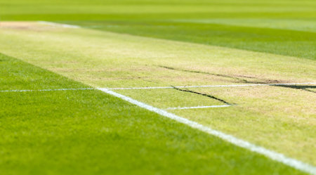 The image captures the texture and green tones of a cricket pitch under natural daylight. The sports photography style highlights the detailed lines and markings essential for the game, creating a focused and professional atmosphere. Ideal for use in sports publications, training manuals, or as a visual element in sports-related designs. AI-generated illustration.の素材