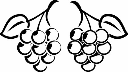 Minimalist vector artwork showcasing thin outline style and symmetrical vertical composition, with diffused lighting creating a fresh, appetizing mood. Ideal for food packaging, restaurant menus, banners, and digital promotions in culinary, retail, and health food sectors. Scalable design suits versatile applications across print and we. AI-generated vector illustration. AI-generated illustration.のイラスト素材