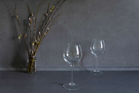 Spring, flowering willow and two glasses on a gray background.の写真素材