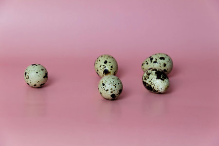 Quail egg on a pink background.