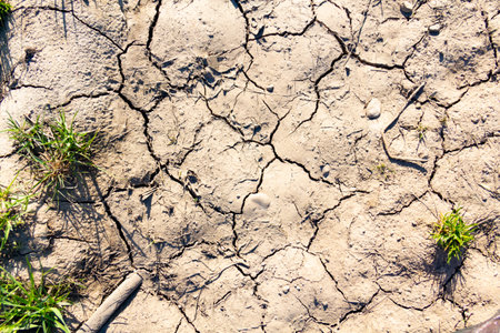 Cracked, dehydrated earth from lack of water and moisture on a hot day.