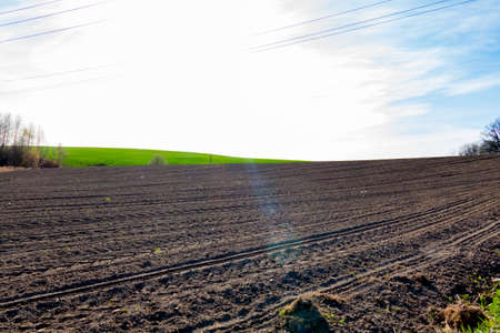 A plowed field of land for planting agricultural, crop agriculturals with green grass on the farm and in the estate, against a blue sky background.の写真素材