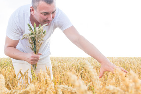 A man harvests a grain crop and walks carefree and fun in a field with wheat. It's time to harvest. The food crisis in the world. A field for harvesting bread.の写真素材